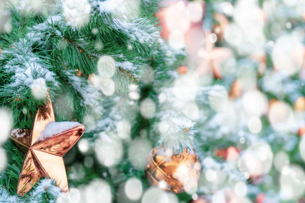 Decorazioni Albero di Natale