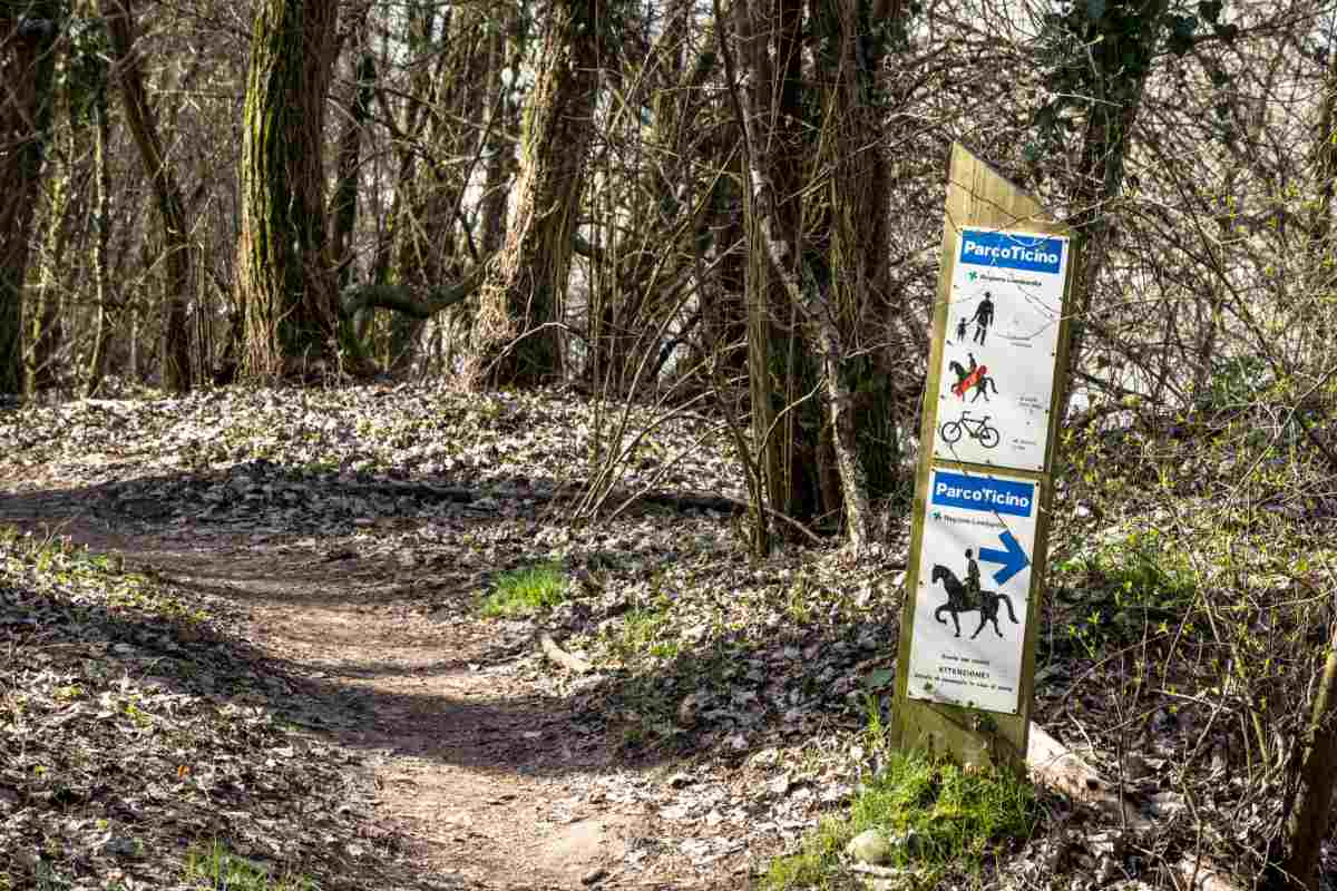 Passeggiate a cavallo nel Parco del Ticino